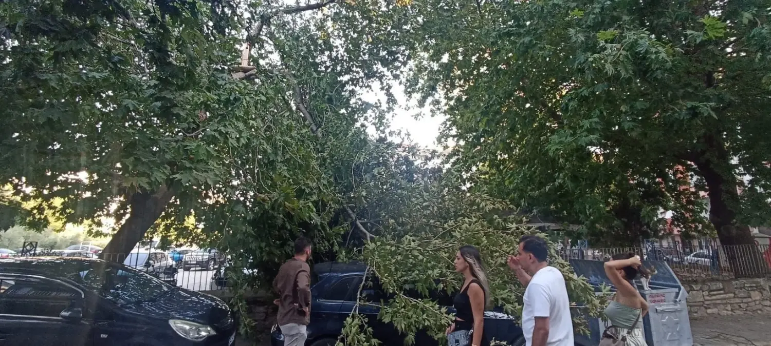Erdek’te Rüzgar Su Deposunu Düşürdü