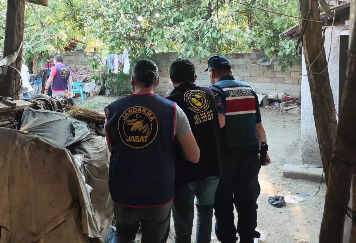 torunundan dehset babaannesi darp edilerek olduruldu NW8YsxW6