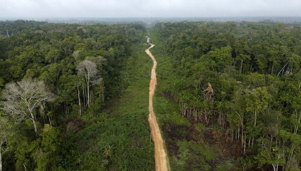 dunyanin akcigerlerinde petrol tehdidi sondaja izin cikti 7QTJnfdZ.jpg
