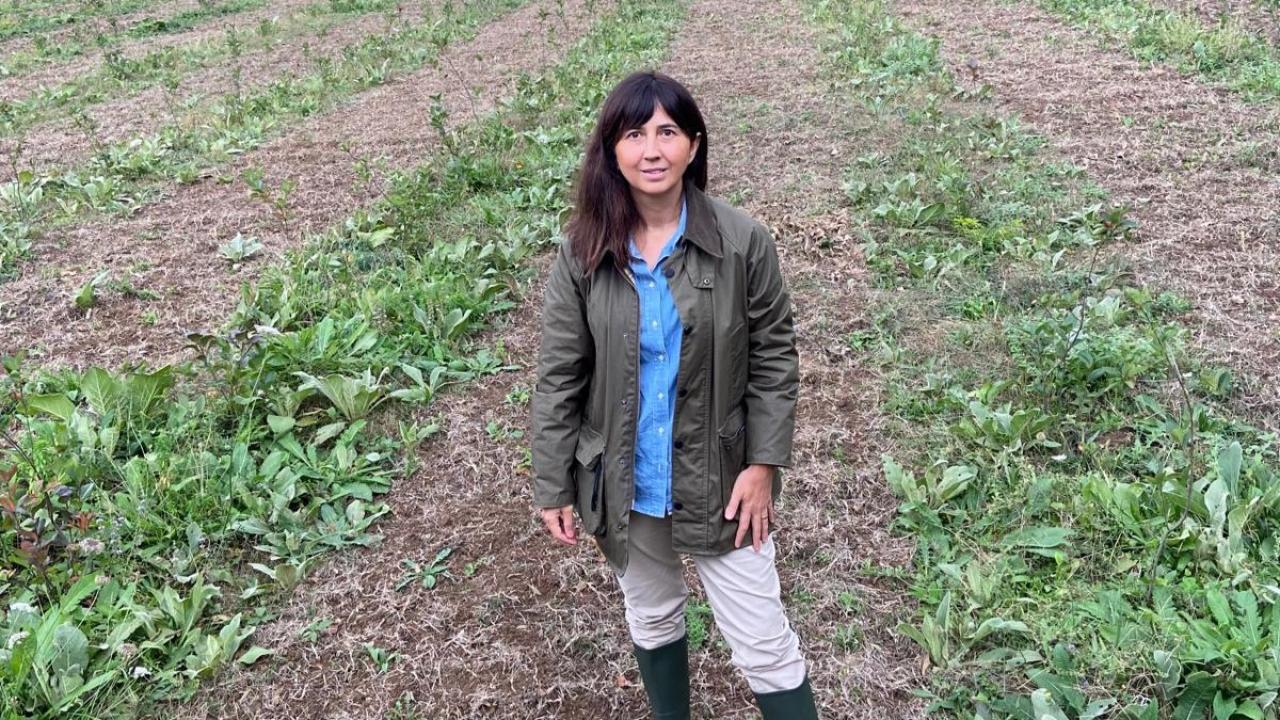 kariyerini birakti topraga dondu seda cem kadin ciftcilere ilham oluyor ZETrHpEt.jpeg