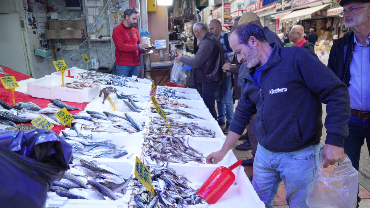 samsunda tezgahlardaki hamsi bollugu suruyor abFXDJIF.jpg